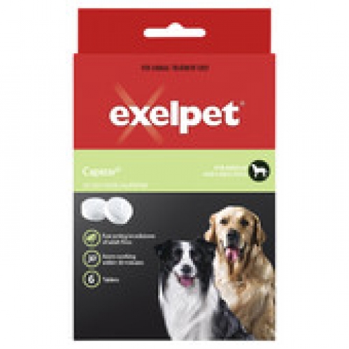 Exelpet Capstar Flea Knockdown Tablets for Medium & Large Dogs 6 pack