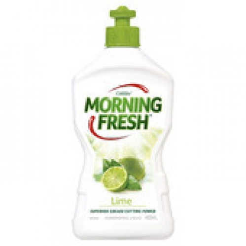 Morning Fresh Lime Dishwashing Liquid 400mL